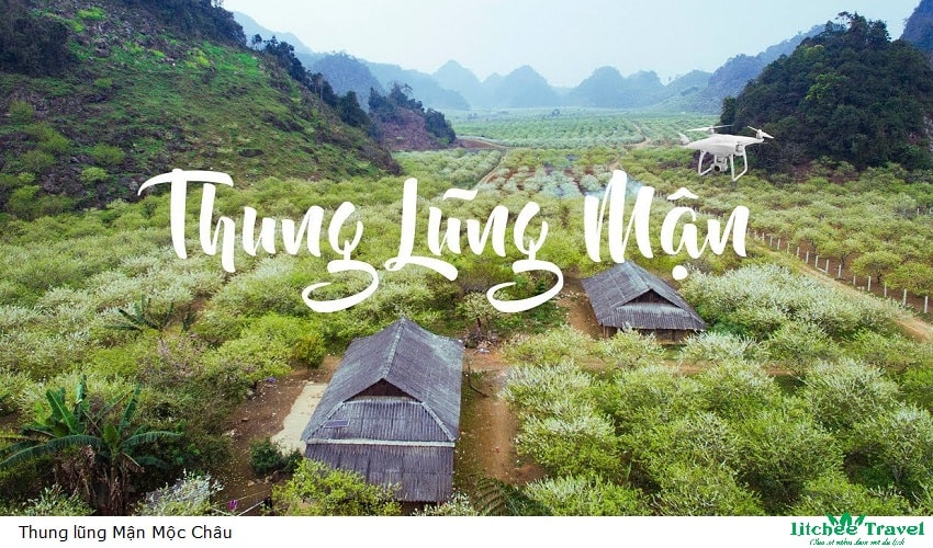 thung lũng mận mộc châu